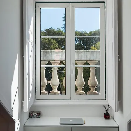 아파트 Principe Real Charming Garden View Flat At The Heart Of